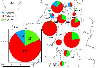 Molecular Epidemiology of Bacterial Wilt in the Madagascar Highlands Caused by Andean (Phylotype IIB-1) and African (Phylotype III) Brown Rot Strains of the Ralstonia solanacearum Species Complex